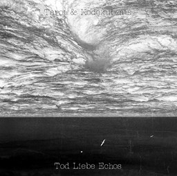 Zeige Details für Tarot & Kodokubeats - Tod Liebe Echos EP Bild von Tarot & Kodokubeats - Tod Liebe Echos EP
